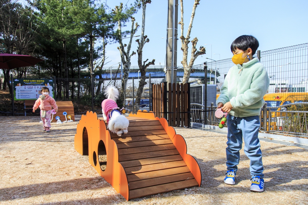 마포 댕댕이 놀이터에서 반려견과 함께 하고 있는 주민들./사진제공=마포구