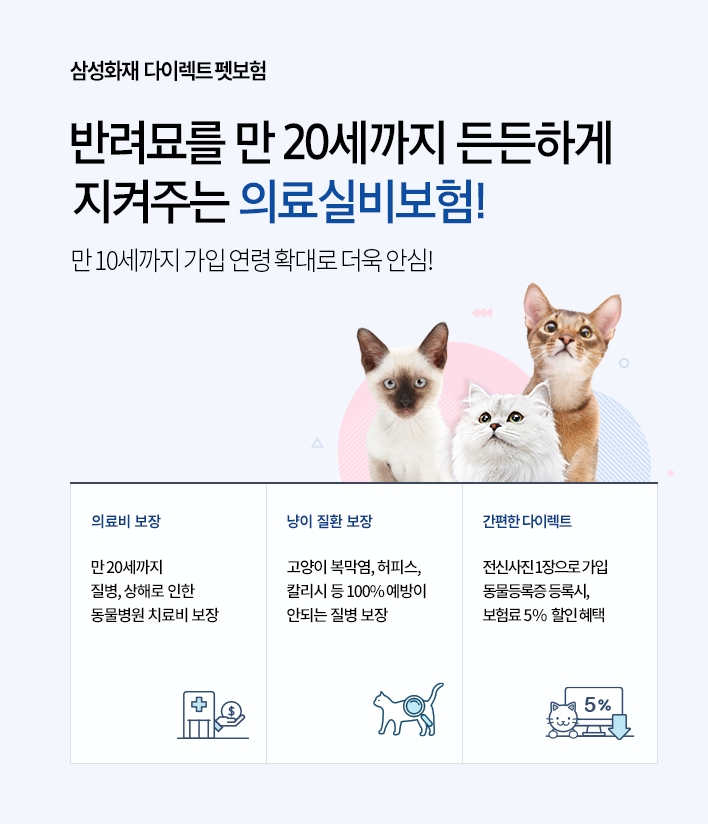삼성화재는 반려묘를 위한 다이렉트 펫보험 신상품을 지난 23일 출시했다고 26일 밝혔다./사진=삼성화재