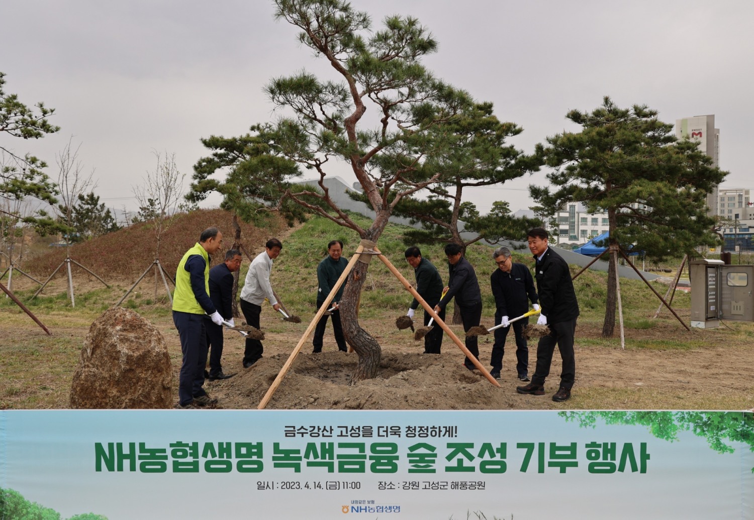 농협생명은 지난 14일 강원도 고성군에 위치한 해풍공원을 찾아 나무 3000 그루를 기부하는 식목행사를 진행했다고 16일 밝혔다./사진제공=농협생명