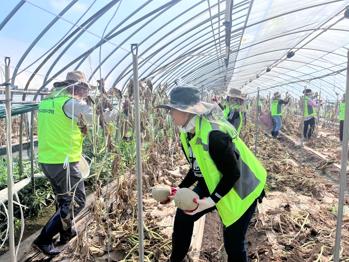 마포구 자원봉사센터가 충남 청양군 수해복구를 위해 비닐하우스 안을 정비하고 있다./사진제공=마포구