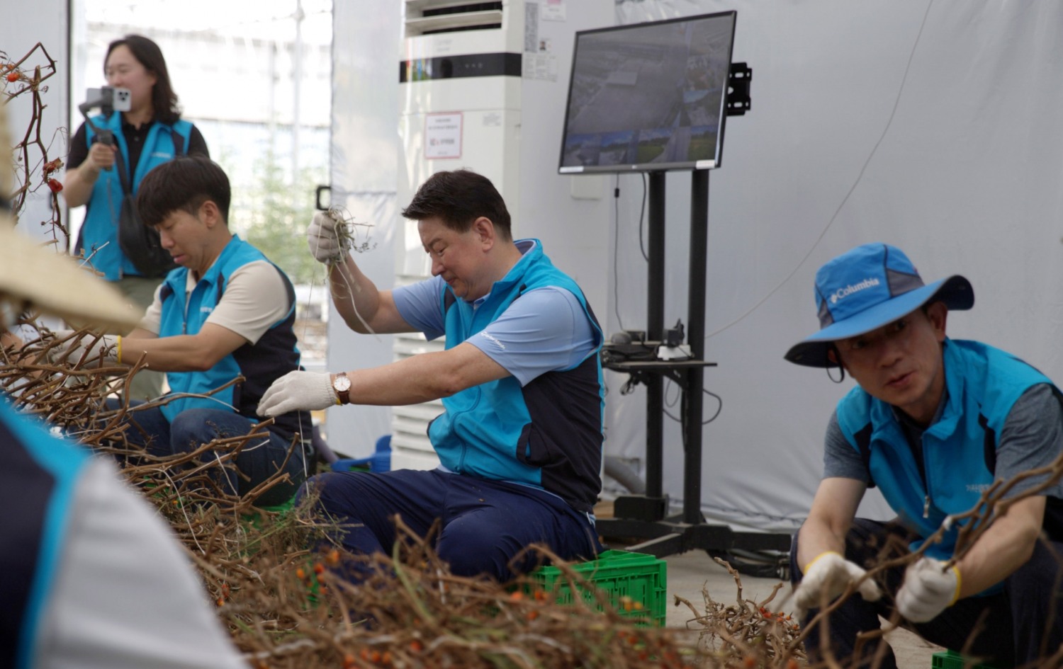 중앙회장 오화경(사진 가운데) 및 직원들이 토마토농장에서 일하는 모습./ 사진 = 저축은행중앙회