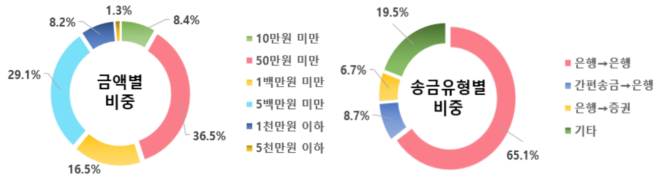 착오송금의 금액별 및 송금유형별 비중 현황. /자료제공=예금보험공사