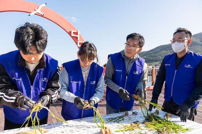 효성 임직원들이 경남 거제시 다포항 일대에서 잘피 이식 준비를 하고 있다. 사진제공=효성.
