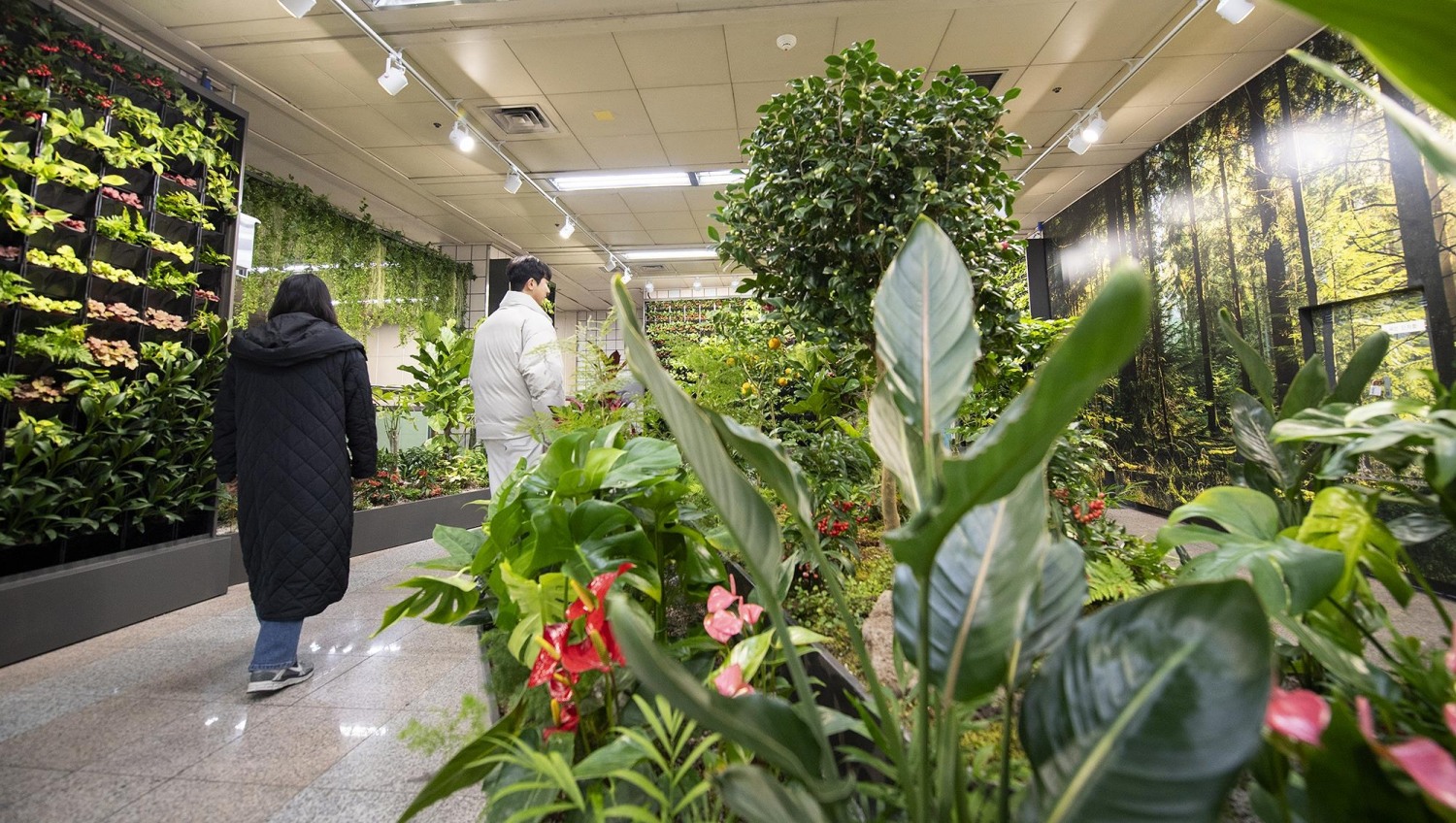 용산구 삼각지·녹사평역 지하 서울 아래숲길./사진제공=용산구