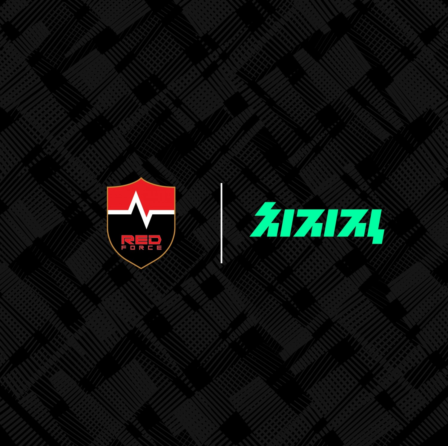 사진제공=네이버