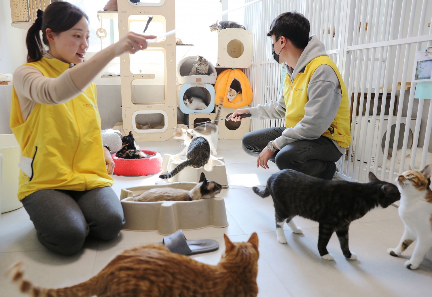 사진제공=HDC현대산업개발