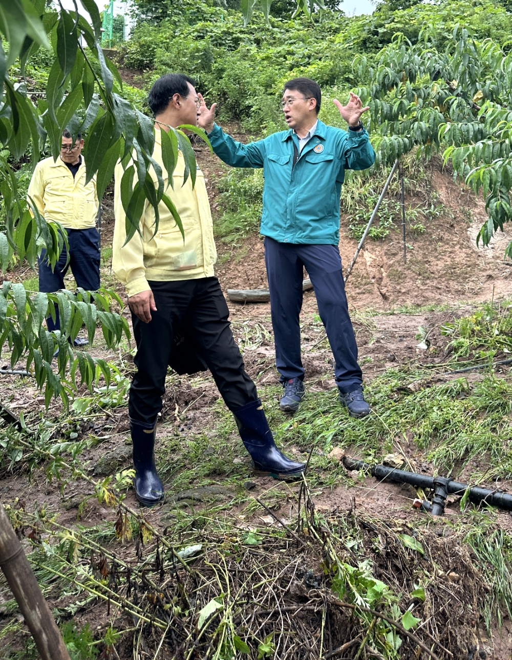 서국동 대표이사가 지난 10일 집중호우피해가 발생한 충북 영동군 소재 농가에 방문하여 현황을 점검하고 있다.(2024.07.10.)./사진제공=농협손해보험