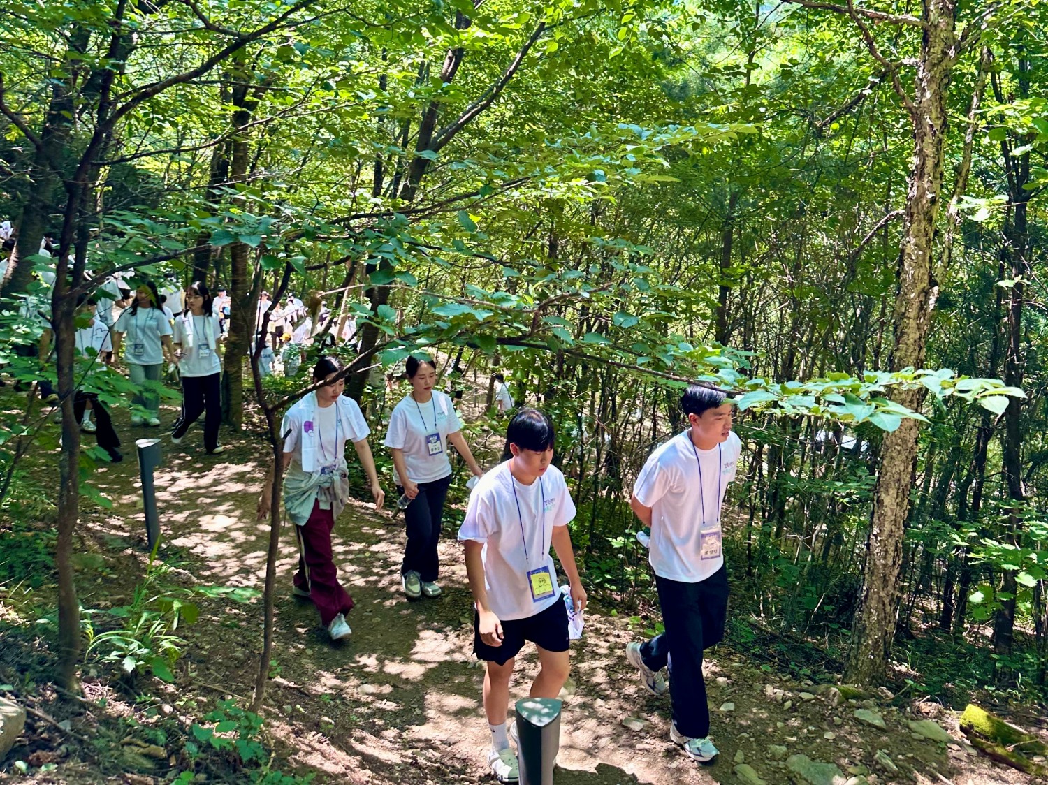 강원랜드 멘토링 장학 부스팅 캠프 장학생들이 하이원 하늘길 트레킹을 하는 모습./사진제공=강원랜드