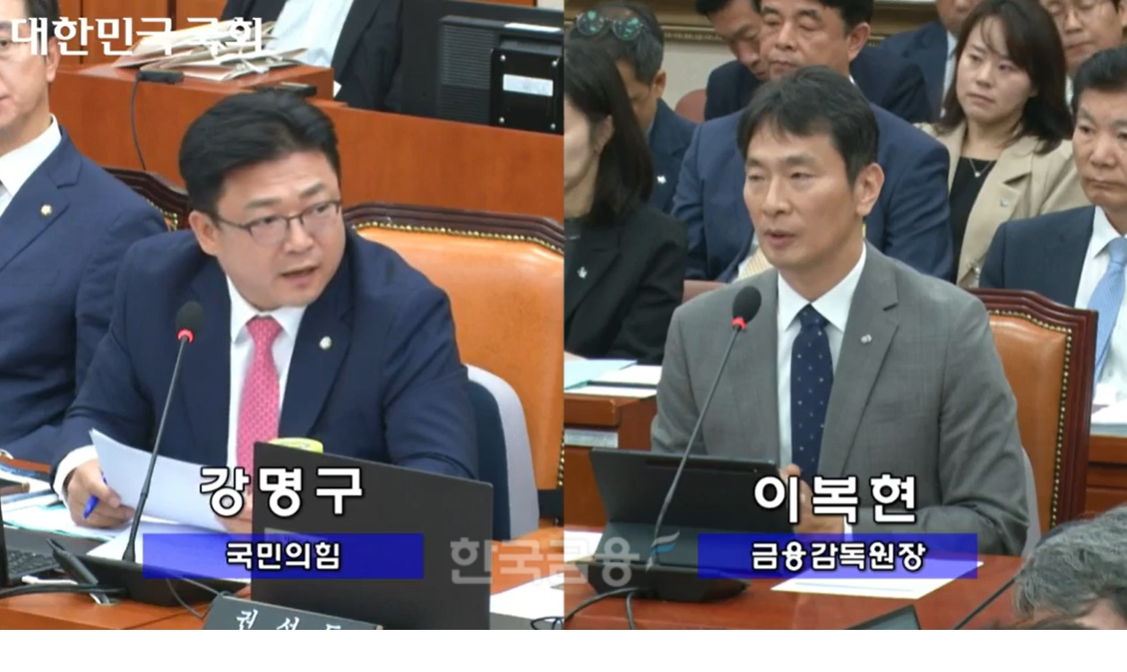 강명구 국민이힘 의원이 정무위원회 국정감사에서 이복현 금감원장에 질의를 하고 있다./사진=국회의사중계시스템 갈무리