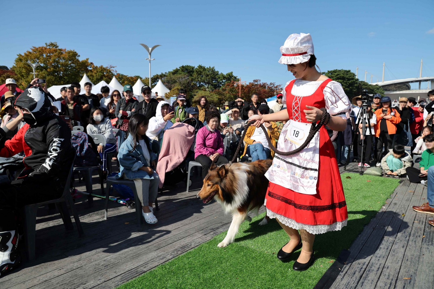 마포나루 새우젓축제에서 진행된 '제1회 예쁜 반려견 선발대회'./사진제공=마포구
