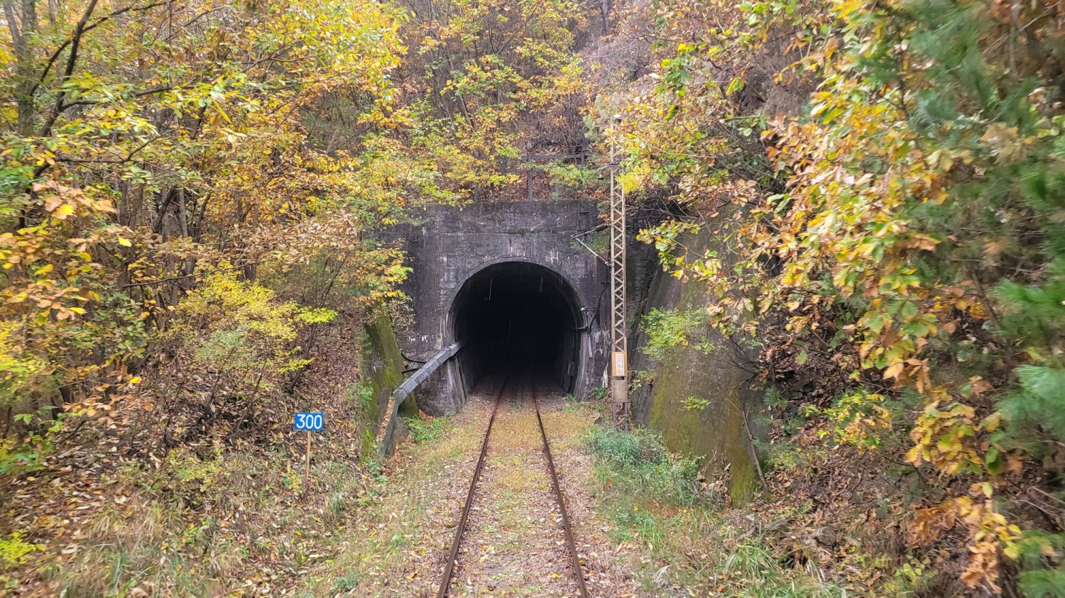 추추파크리조트는 옛 영동선 폐선을 활용해 다양한 기차체험 기회를 제공하고 있다./사진=주현태 기자