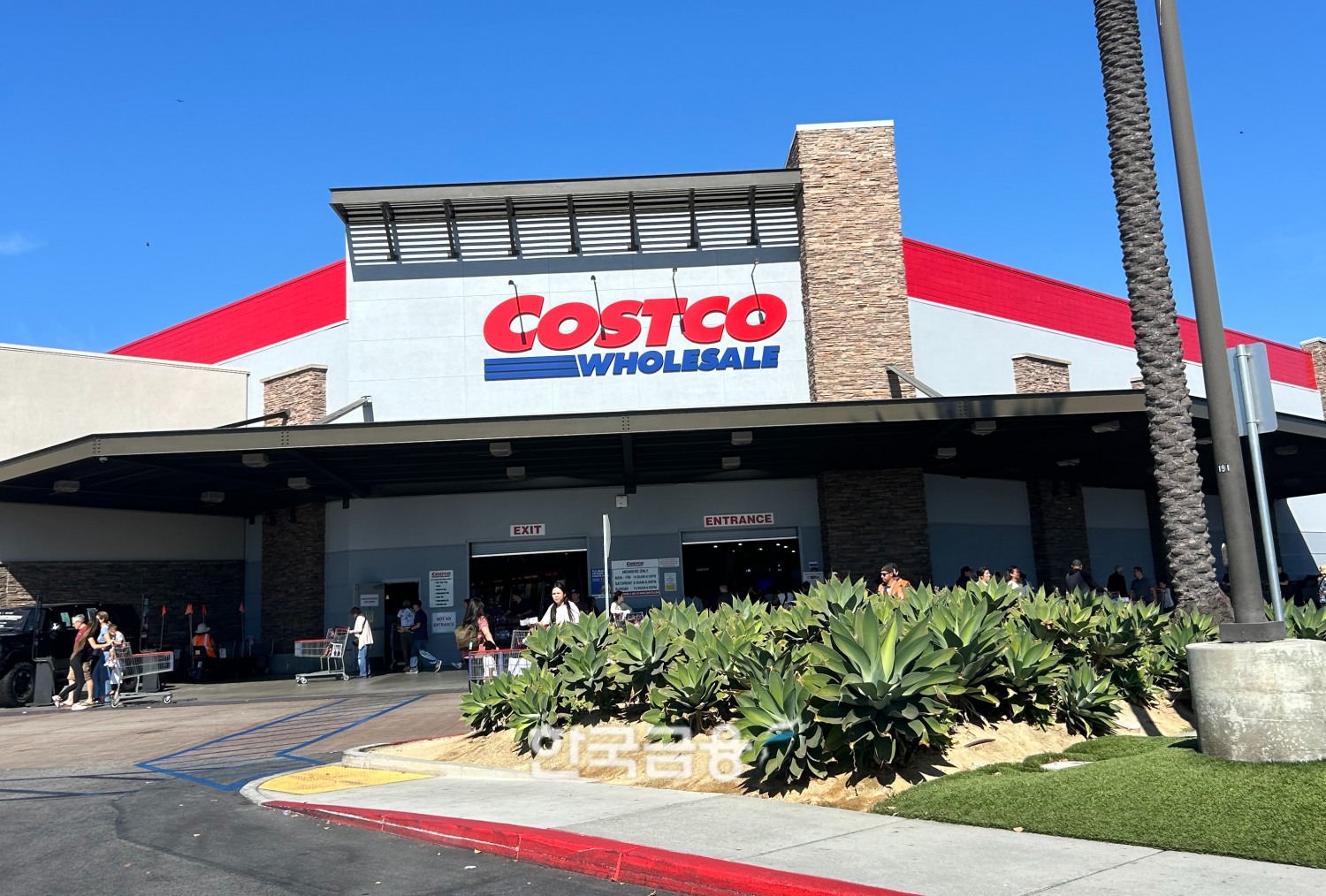 코스트코코리아가 역대급 호실적을 기록했다. /사진=박슬기 기자