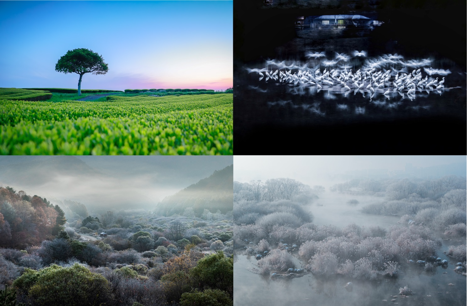 사진제공=반도건설