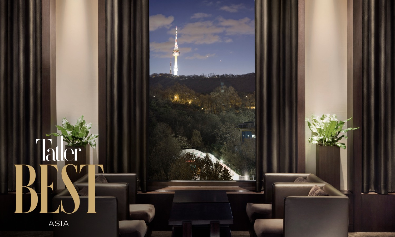 서울신라호텔의'더 라이브러리'이 '태를러 베스트 오브 아시아 2024 어워드'에서 BAR 부분 톱 100에 선정됐다. /사진제공=신라호텔