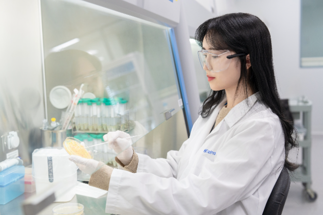 한국콜마 연구원이 미생물 균주를 배양하고 관찰하고 있다. /사진=한국콜마