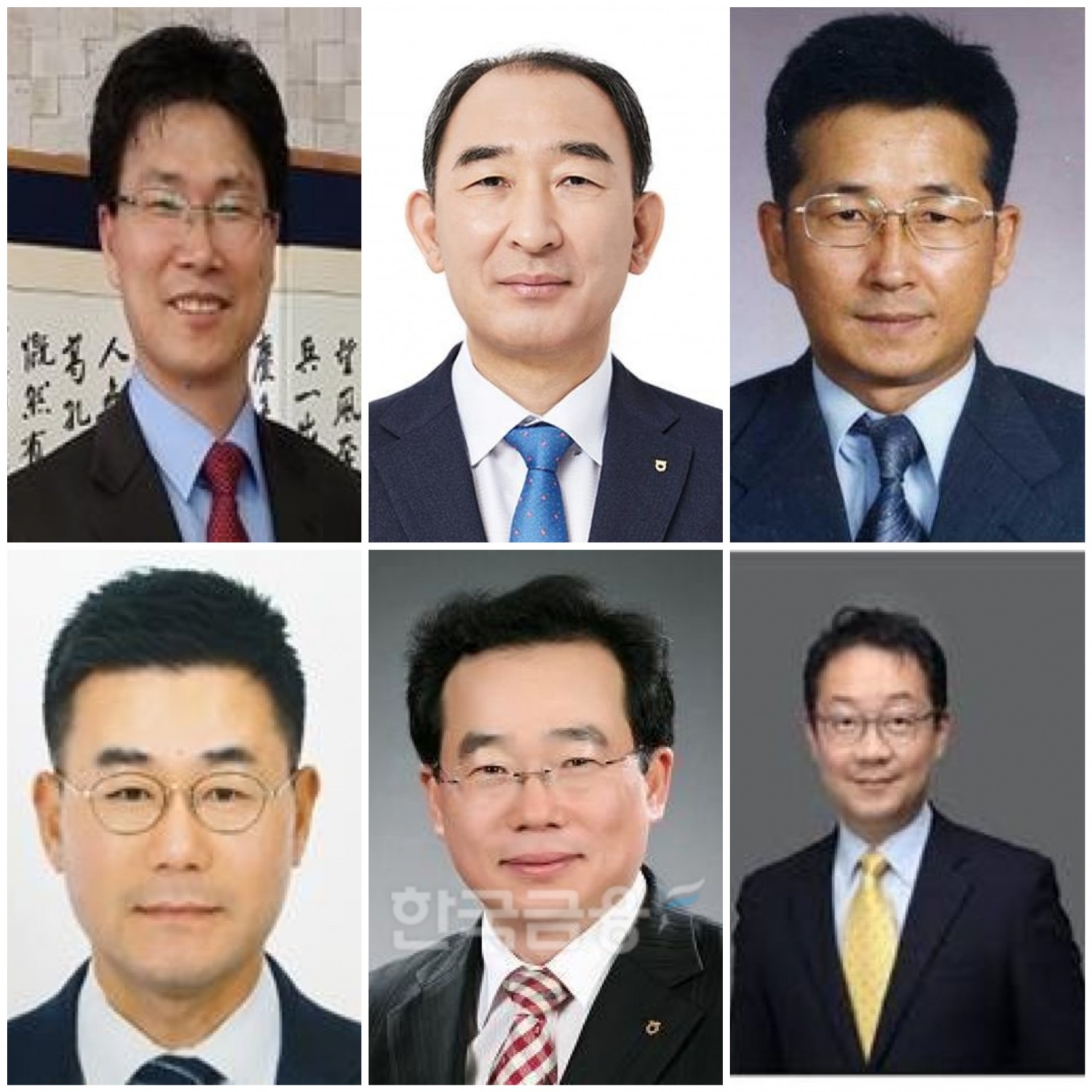 (왼쪽 위부터 시계방향으로) 강태영 농협은행장 후보, 박병희 농협생명 대표이사 후보, 송춘수 농협손해보험 대표이사 후보, 김현진 NH벤처투자 대표이사, 김장섭 NH저축은행 대표이사 후보, 장종환 농협캐피탈 대표이사 후보,