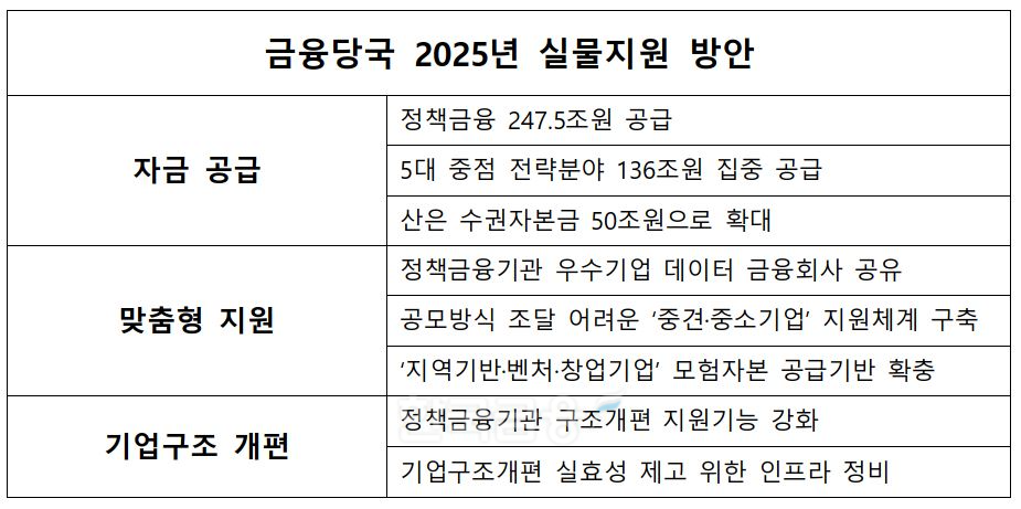 금융당국 2025년 실물지원 방안./ 자료 = 금융위원회