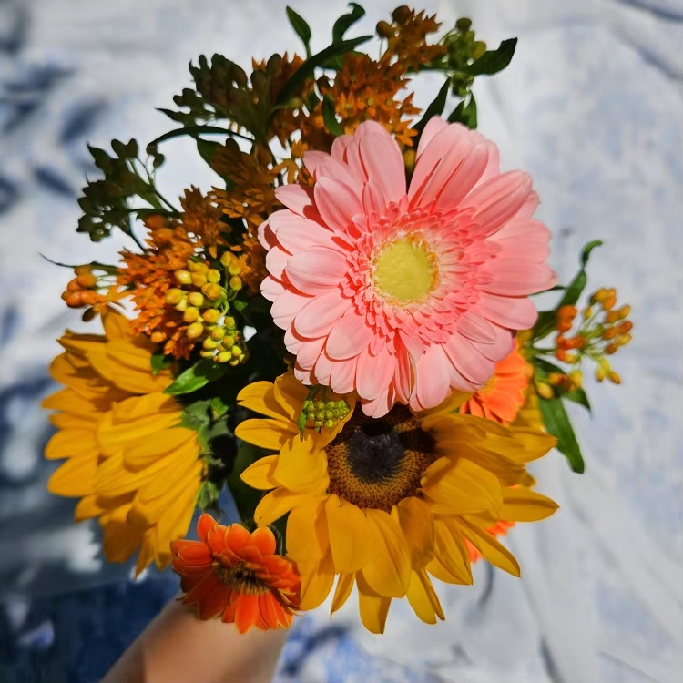 알리익스프레스가 케이베뉴 통해 생화와 꽃다발을 판매한다. /사진제공=알리익스프레스