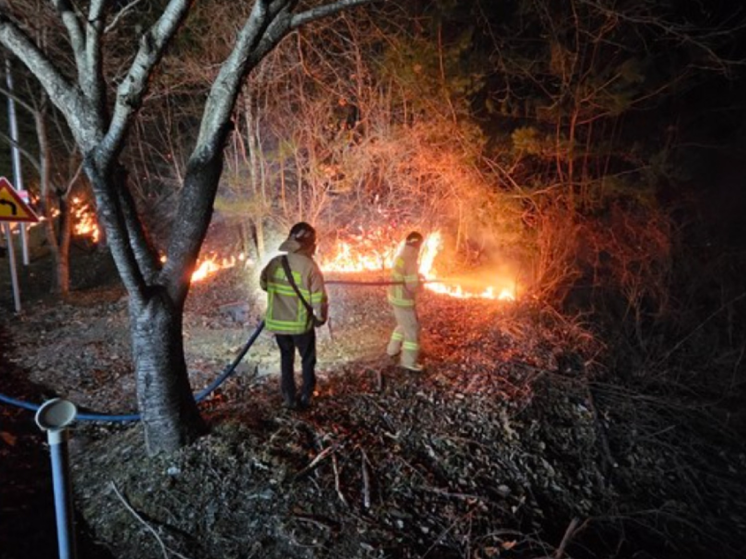 소방본부는 경남과 경북지역 산불 진화 지원에 총력을 기울이고 있다. / 사진제공=대전소방본부