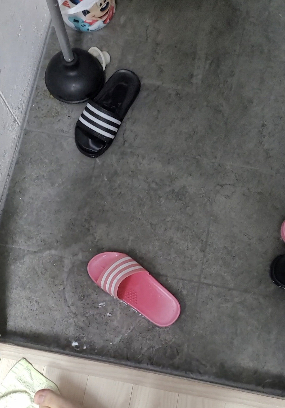 저층세대 역류./사진제공=독자 이모씨