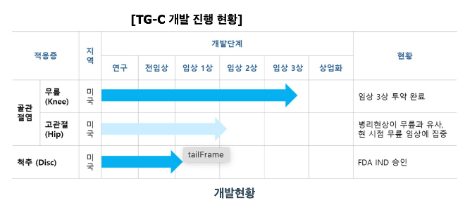 코오롱티슈진의 인보사(TG-C) 개발 진행 현황. /이미지=코오롱티슈진