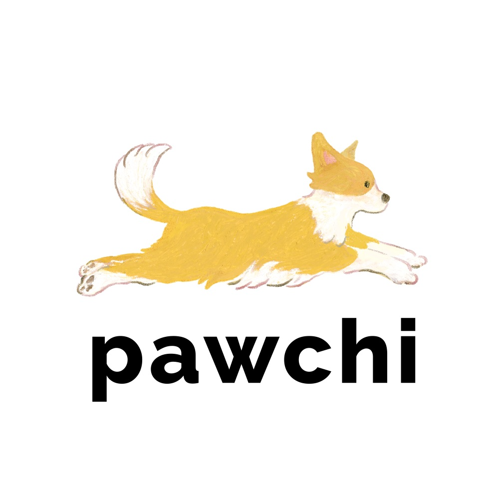 펫보험 전문 보험사 파우치 60억원 규모 투자 유치…100억 목표