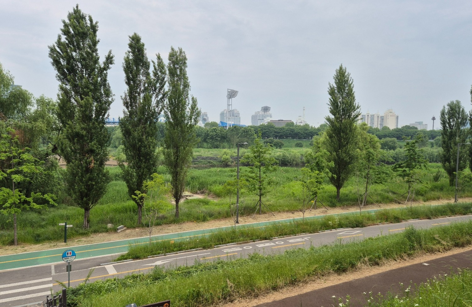 2일 서울 영등포구 양평12보도육교에서 바라본 안양천 전경. / 사진=한상현 기자
