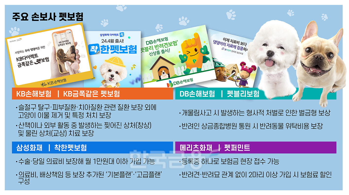 보장 범위 넓히고 보상 간편화까지… 반려인 부담 줄인 ‘펫보험’ 인기