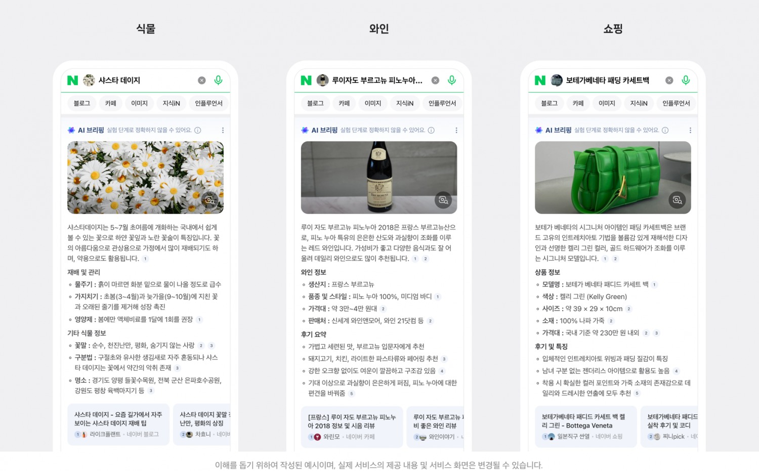 스마트렌즈를 통해 식물, 와인, 패션 주제 이미지를 검색하면 다양한 출처의 콘텐츠를 요약한 핵심 정보과 함께 추가 탐색을 위한 관련 문서 추천이 제공된다. / 사진=네이버