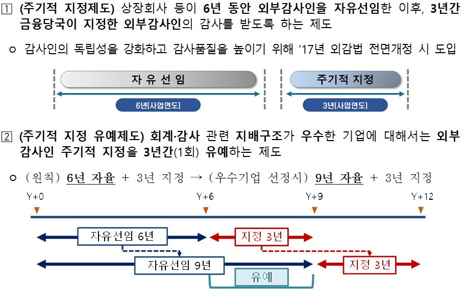 주기적 지정제도 및 지정유예제도 개요도 / 자료제공=금융감독원
