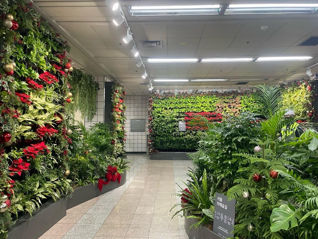 삼각지역 크리스마스 사진 무대 공간./사진제공=용산구