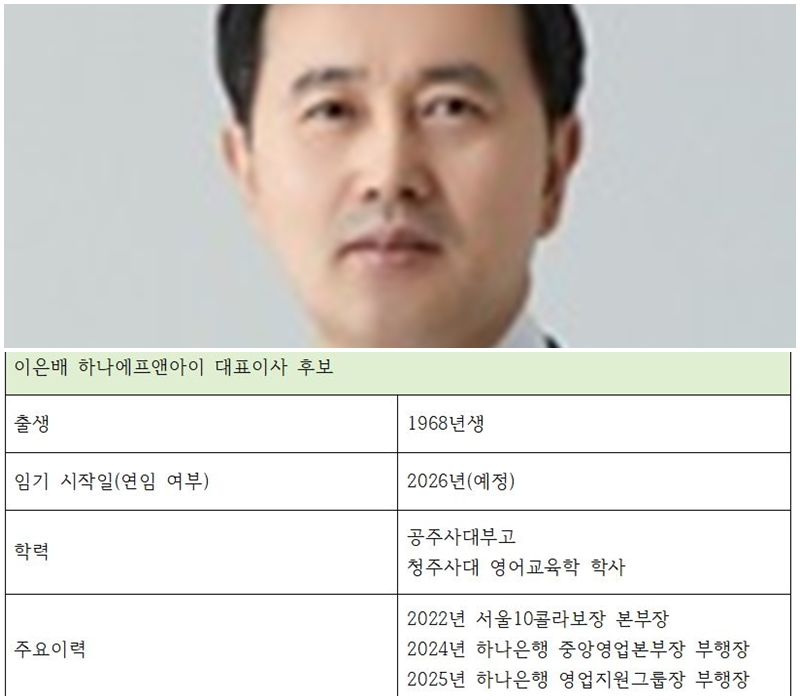 이은배 하나에프앤아이 대표이사 후보 주요 이력