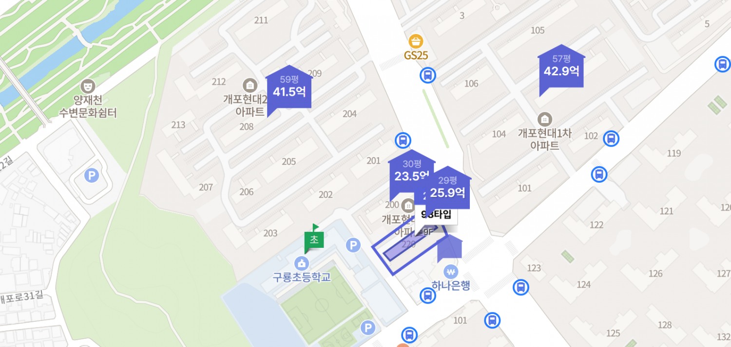 개포현대2차아파트 지도./자료제공=호갱노노