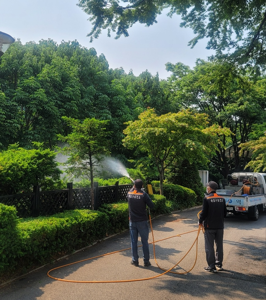 마포구 관계자가 러브버그 집중 발생에 대비해 친환경 살수 작업을 진행하는 모습./사진제공=마포구