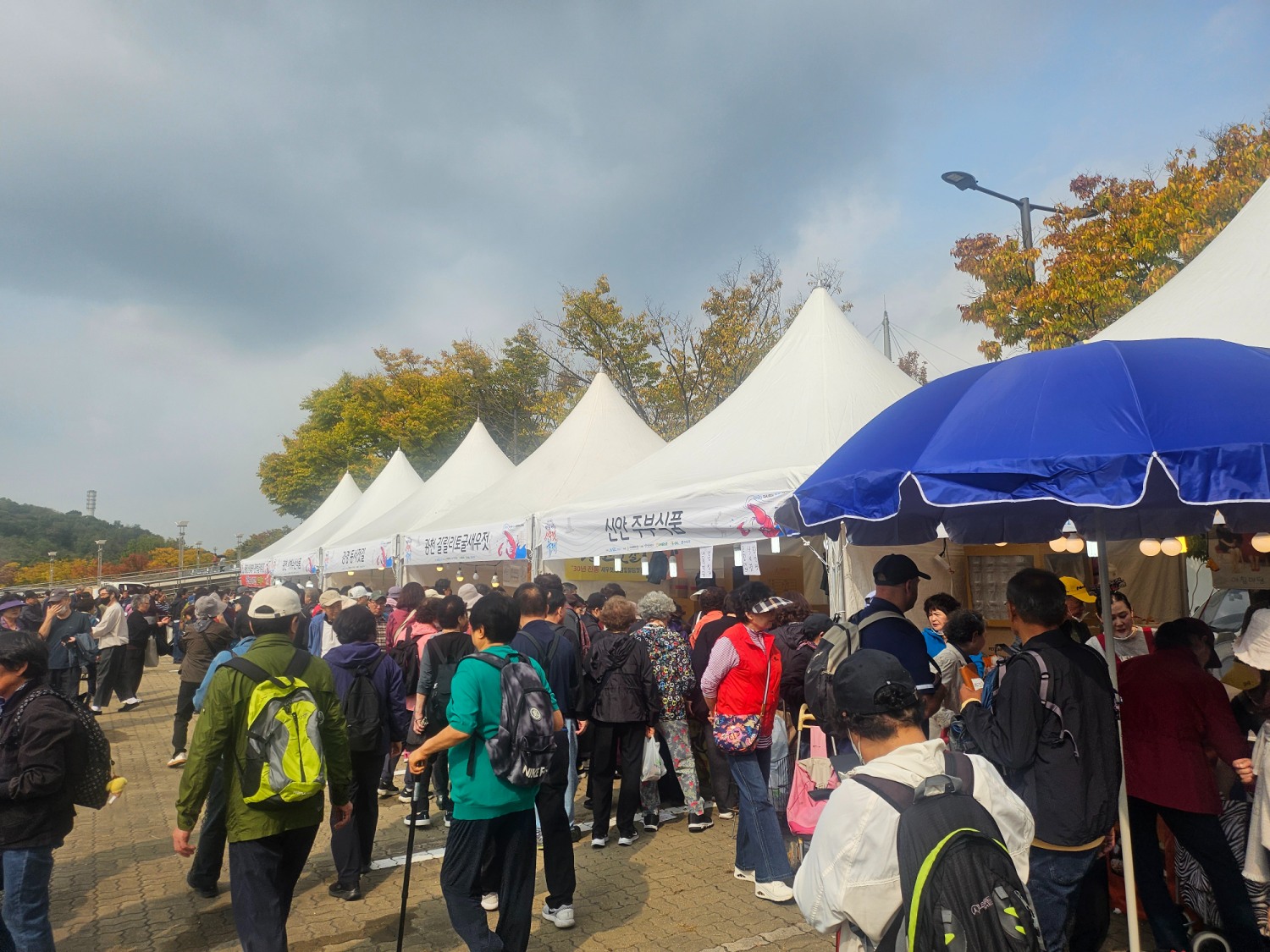 마포나루 새우젓축제 특산물 장터. /사진=주현태