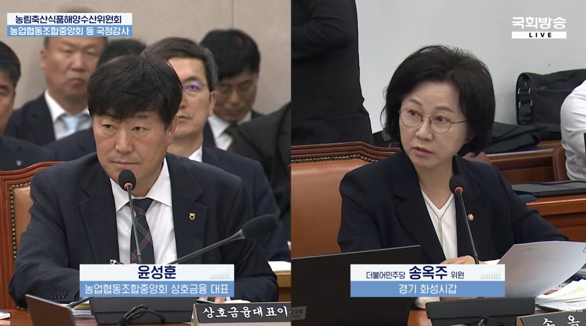 16일 진행된 국회 농림축산식품해양수산위원회 국정감사에서 송옥주 더불어민주당 의원의 질의에 윤성훈 농협협동조합중앙회 상호금융 대표가 답하고 있다. / 사진=국회방송 라이브 갈무리