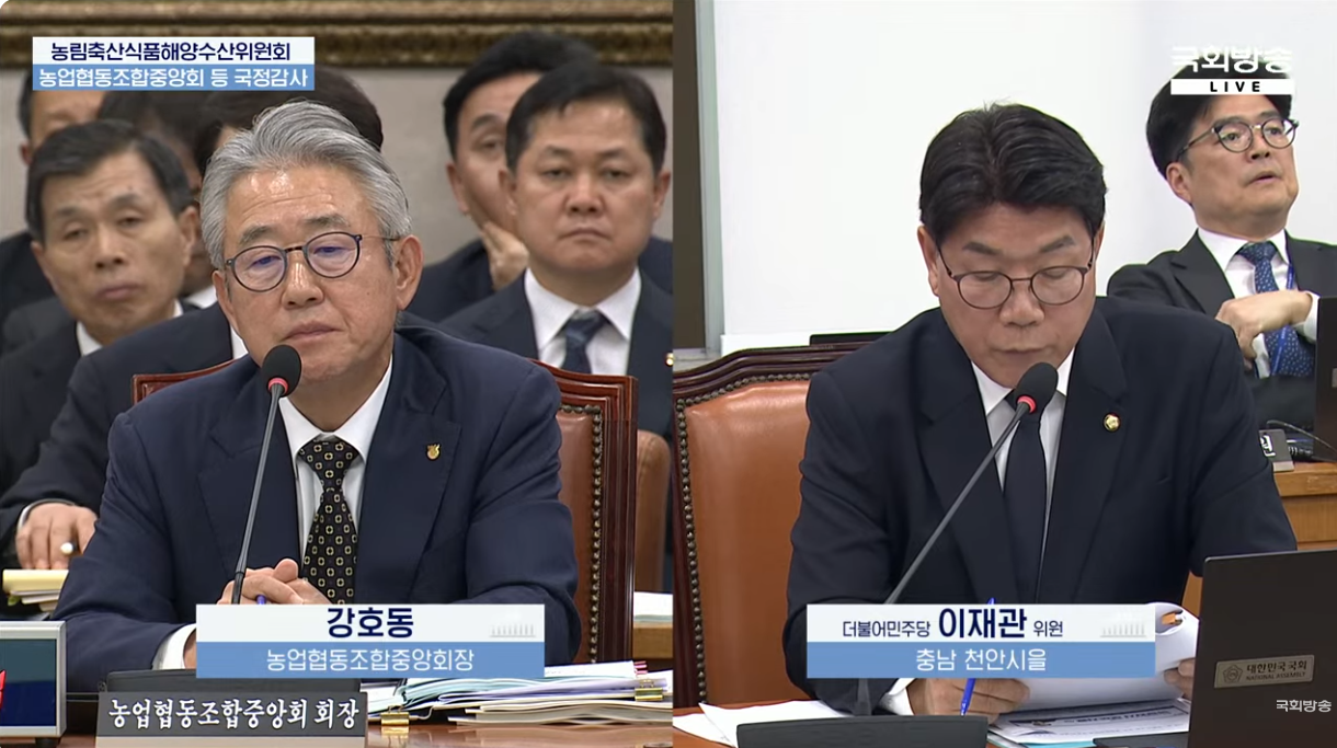 16일 국회 농림축산식품해양수산위원회 국정감사에서 강호동 농협중앙회장이 이재관 더불어민주당 의원의 질의에 답하고 있다. 사진=국회방송 라이브 갈무리