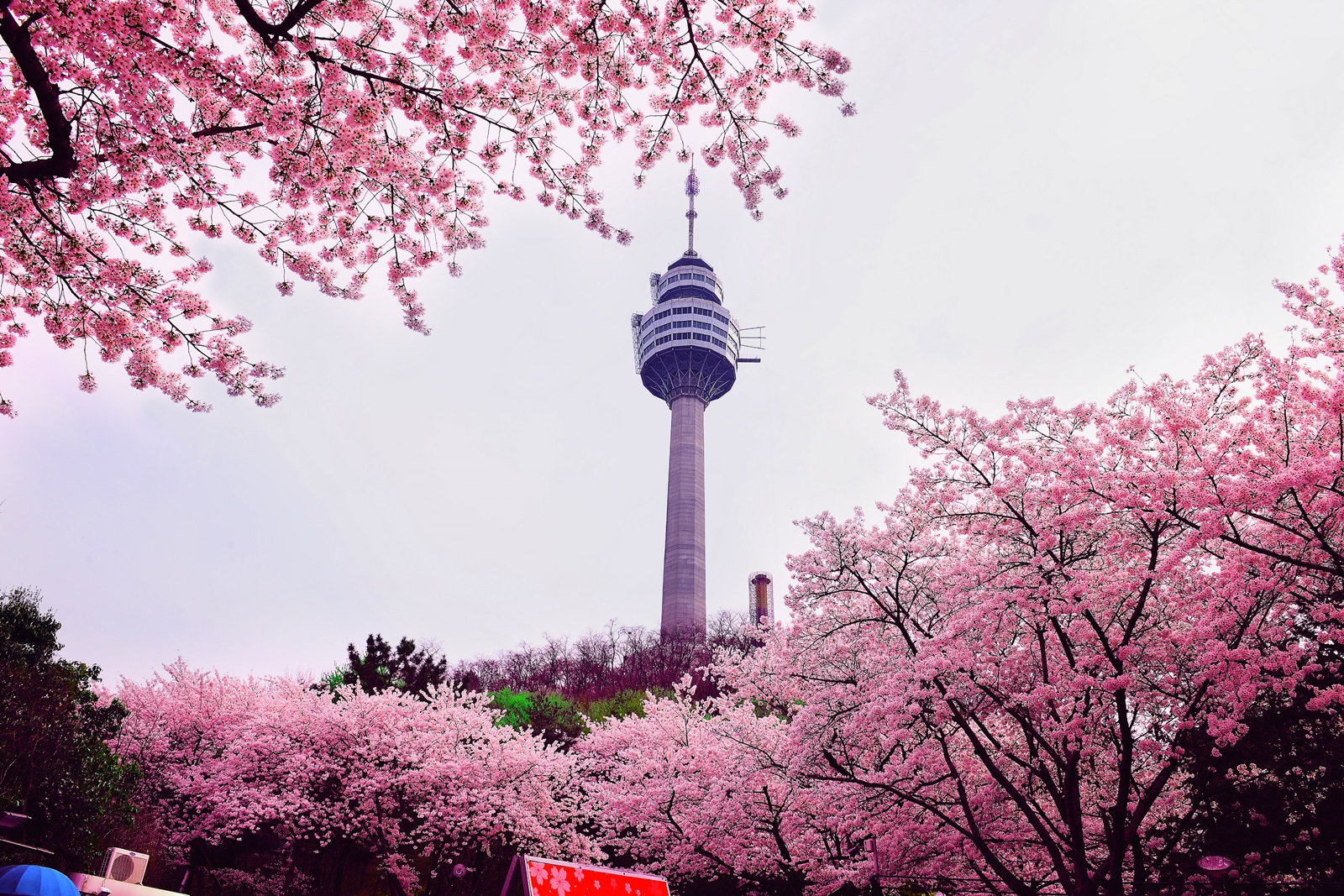 이월드 83타워. 이랜드 제공