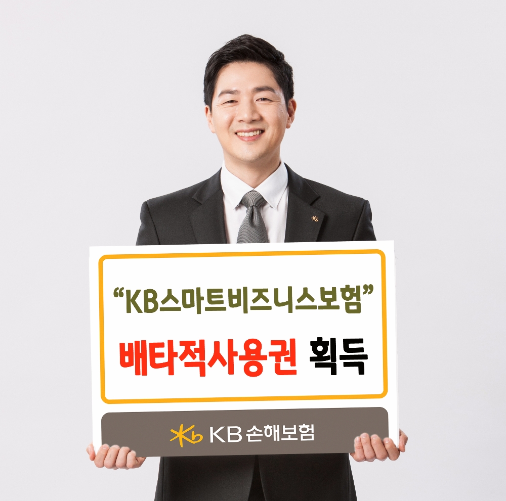 KB손해보험, 실제 손해액 보상하는 'KB스마트비즈니스보험' 배타적사용권 획득