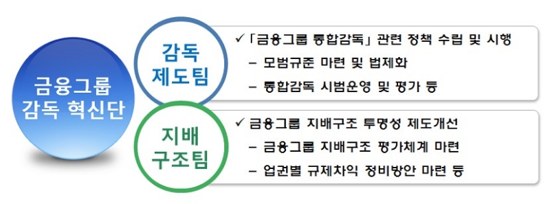 금융그룹 감독 혁신단 주요업무/자료=금융위원회