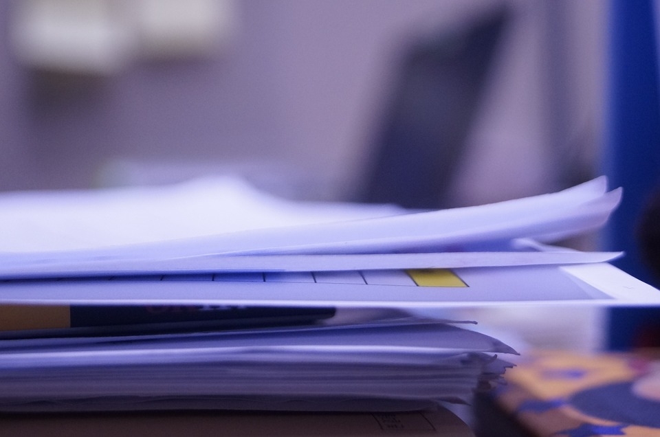 △사진=픽사베이