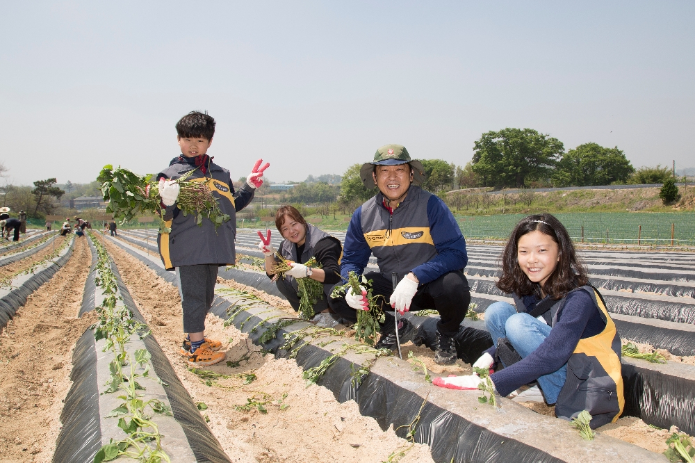 △사진=KB손해보험