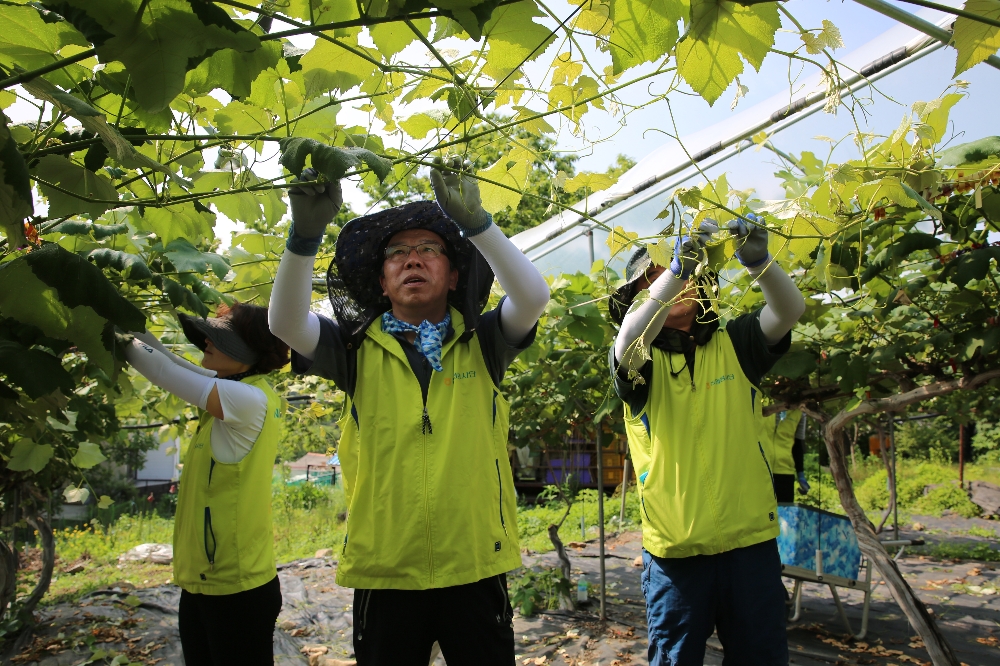 △사진=NH농협생명