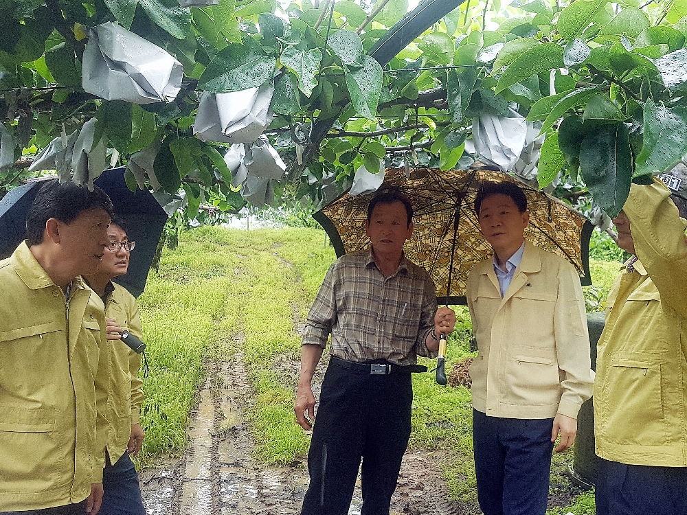 농협중앙회 허식 부회장, 태풍 쁘라삐룬 피해 대비 현장점검