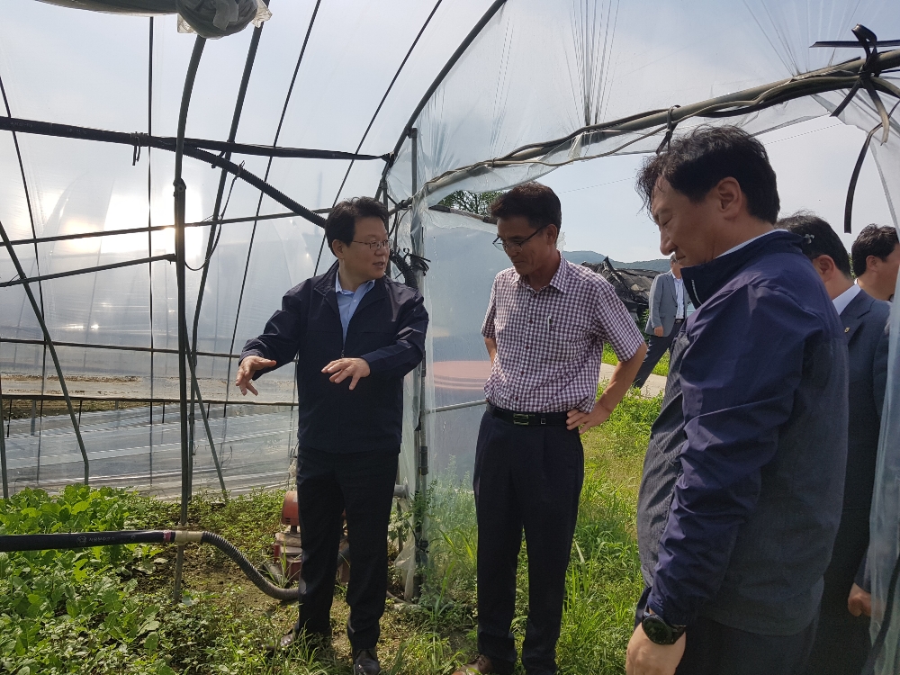 김광수 농협금융지주 회장이 5일 경기 용인시 포곡읍에 위치한 호우 피해 농가를 방문하여 농민과 농협 관계자들로부터 애로사항을 청취하고 있다. / 사진제공= 농협금융지주