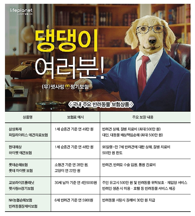 반려동물 천만 시대, ‘상품+서비스’ 펫보험