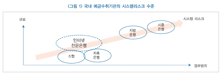'인터넷전문은행의 리스크 특성 및 규제' / 자료출처= 한국금융연구원 서병호 선임연구위원(2018.08)