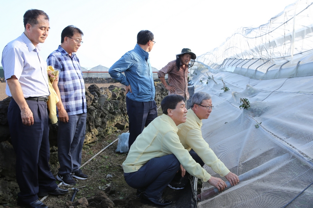 △사진=NH농협손해보험