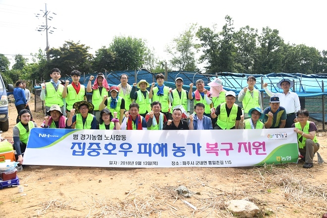 농협중앙회 경기지역본부(본부장 남창현)는 13일 파주시 군내면 백연리 일원에서 범 농협 직원 40여명이 참석한 가운데 노사합동으로 일손돕기를 실시했다. / 사진 = 농협중앙회 경기지역본부