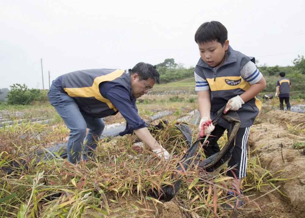 △사진=KB손해보험